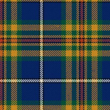 Women's Institute Federated Modern Tartan Kilt