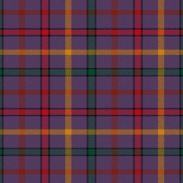 Child The Tartan Kilt