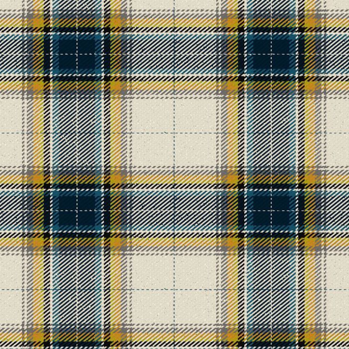 Antarctic Heritage Trust Modern Tartan Kilt Antarctic Heritage Trust Modern Tartan Kilt
