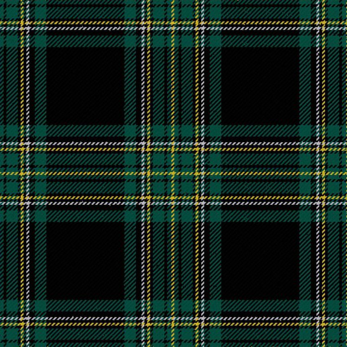 Initial City Link Ancient Tartan Kilt Initial City Link Ancient Tartan Kilt